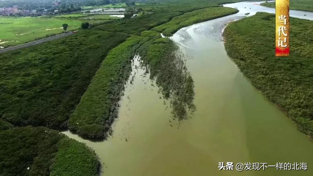 广西合浦是怎么样的？央视是这样全方位介绍这美丽的珠乡的