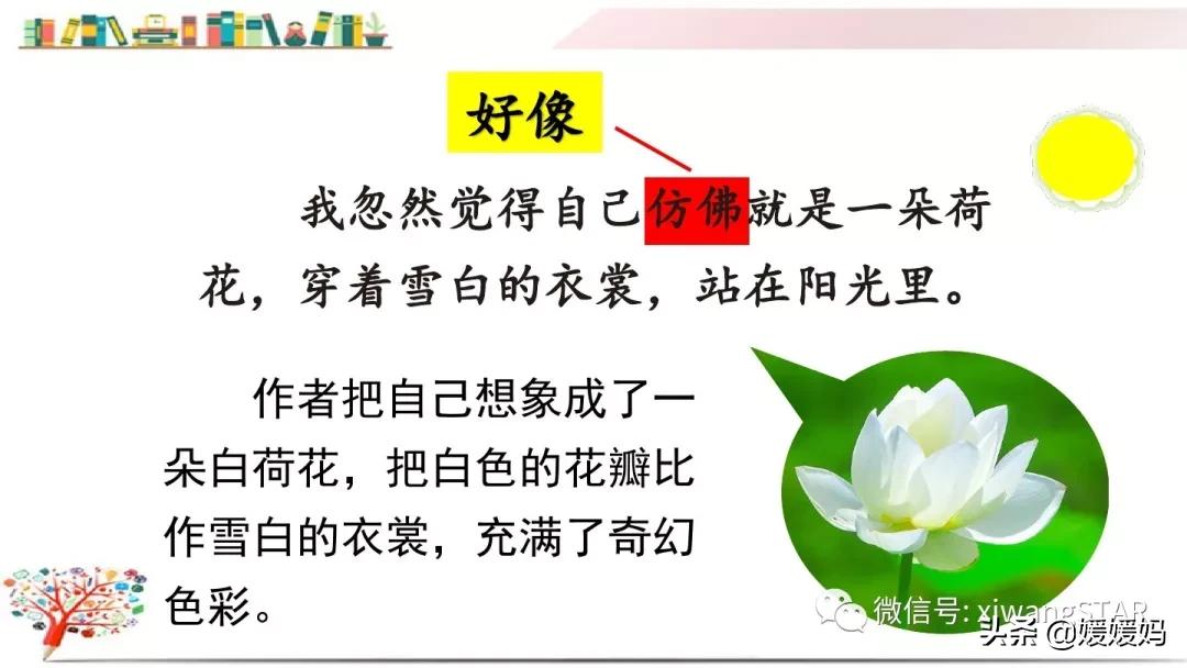 三年级下册荷花ppt课件部编版,三年级下册语文第三课荷花小练笔
