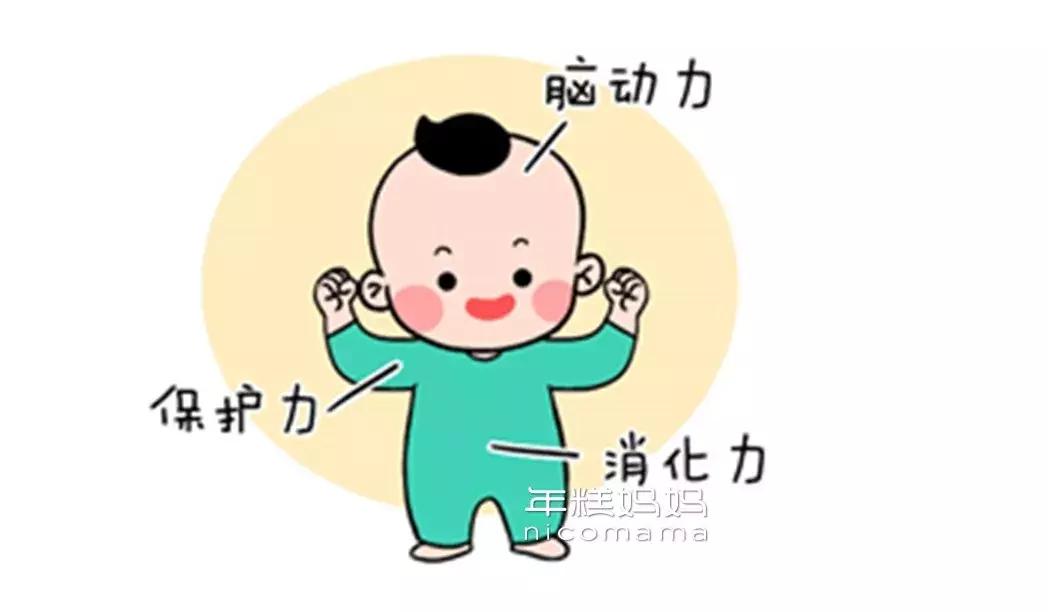 想要宝宝消化好喝什么奶粉,想要宝宝肠胃好要喝什么