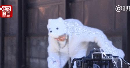 日本老奶奶碰瓷,酗酒飙车碰瓷爆红网络