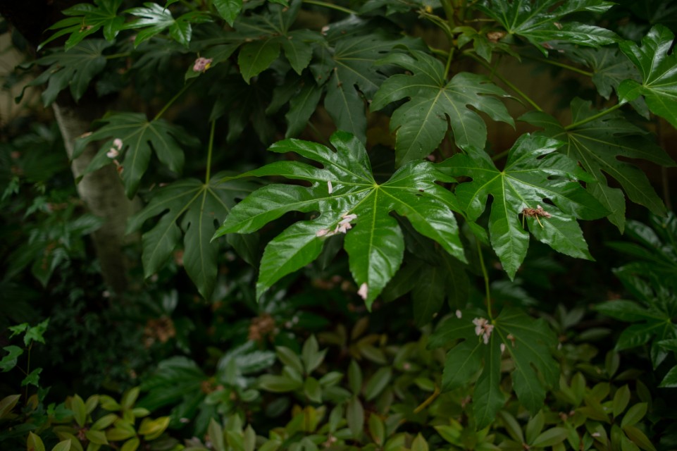 灏煎悍df3000,灏煎悍DF娴嬭瘎