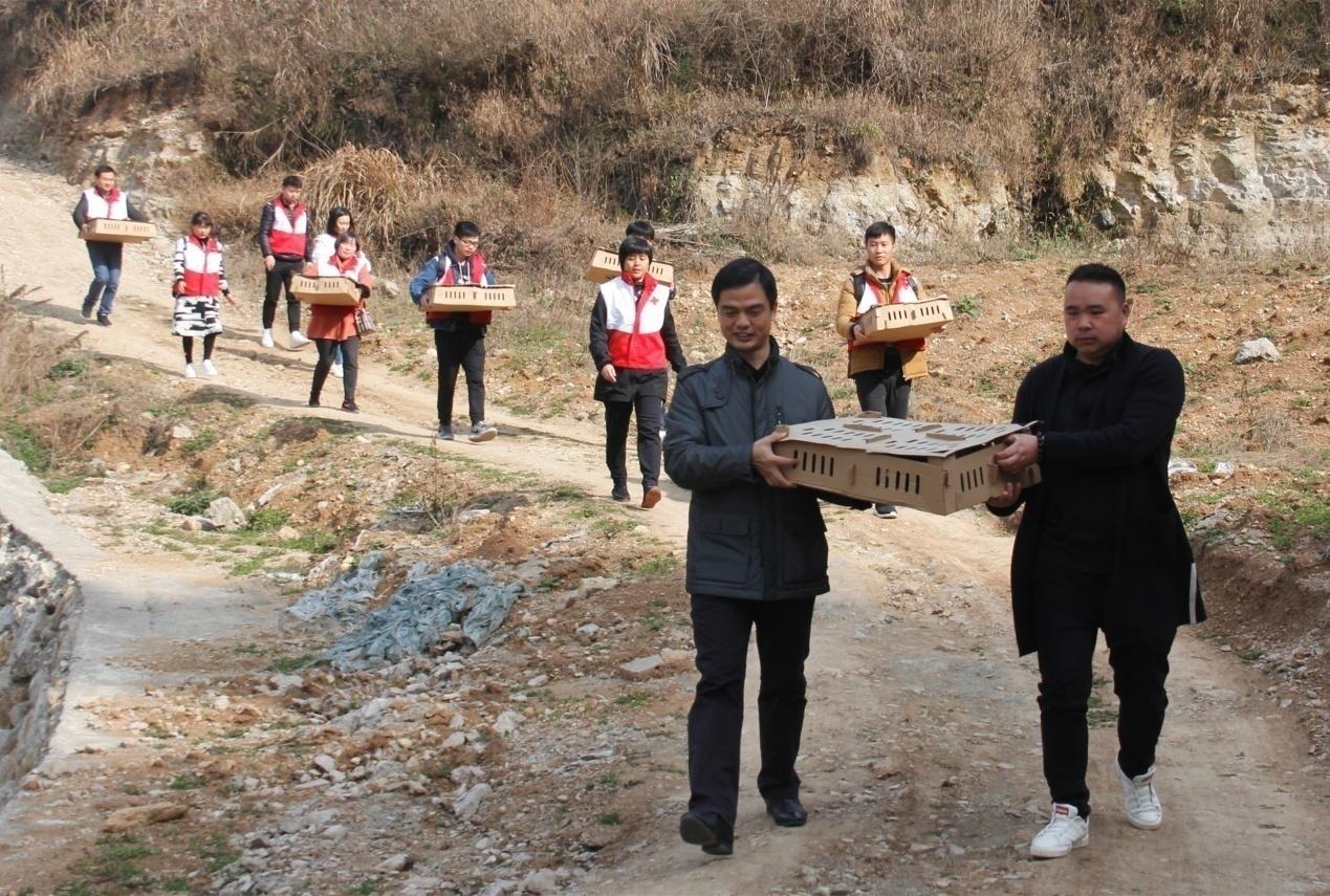 农村小伙养6000只鸡,养一万只黑鸡一年利润