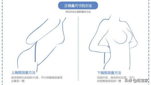 产前产后乳房变化,怀孕生子如何预防胸部变形