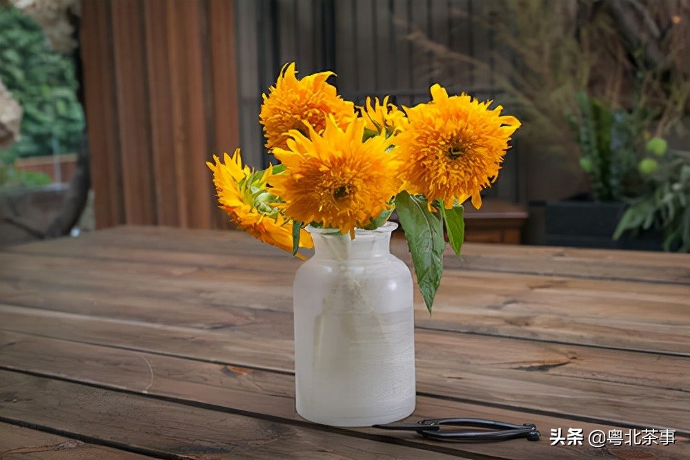 我26岁,不顾朋友劝阻奔现网友,结果被骗得身无分文后悔万分