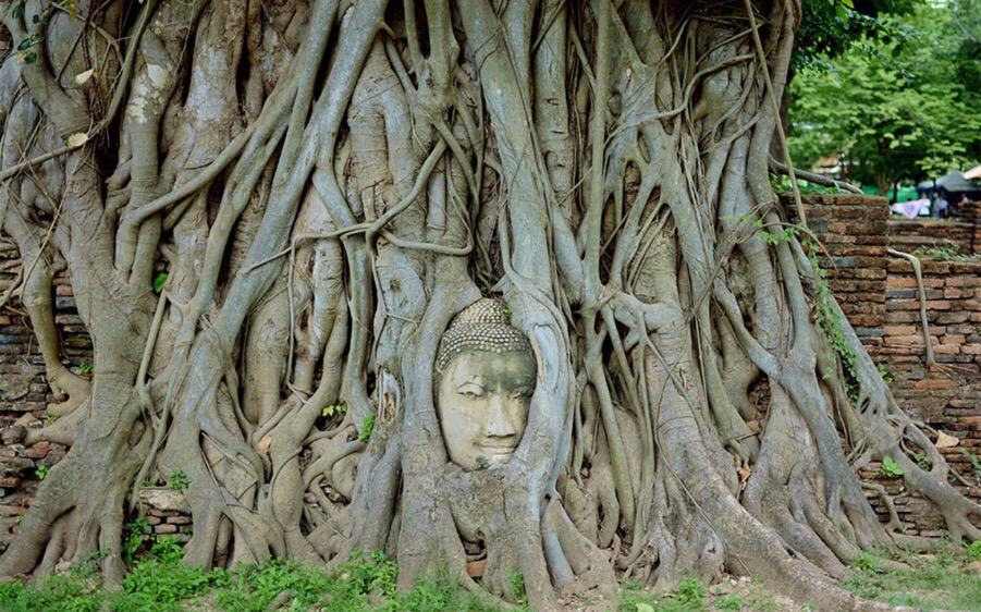 最好的时光遇见你免费观看,泰国5日经典旅游攻略