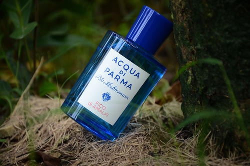 小众冷门的奶香调香水,平价小众花果香水推荐