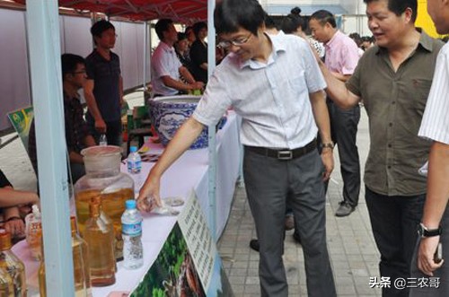 农村最缺什么生意项目可以做,农村做什么生意赚钱创业项目