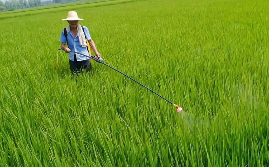 打了除草剂喷雾器怎么清洗,打过草甘膦的喷雾器如何清洗