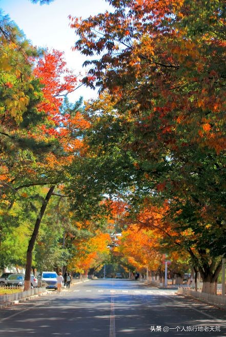 厦门海滨老城旅游,厦门最美海滨城