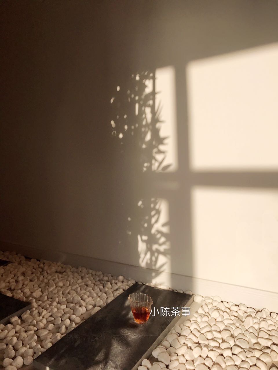 白茶冲泡注意事项,白茶不能闷泡的真实原因