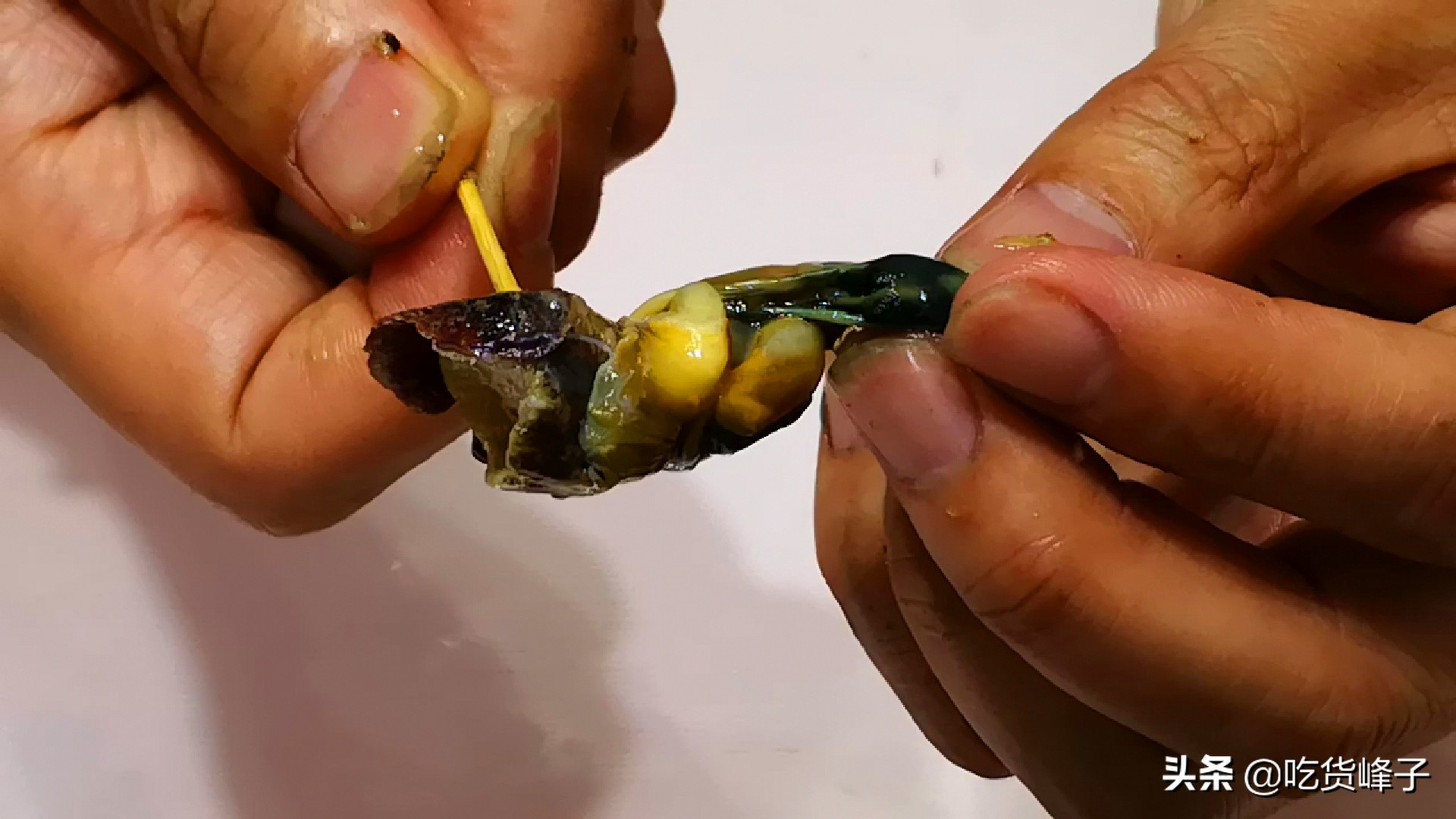 海螺怎样煮才好吃,海螺如何煮才好吃