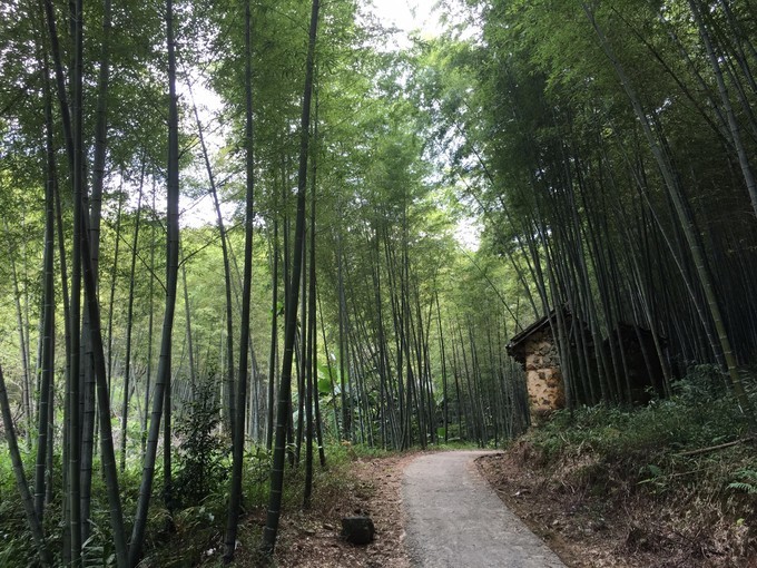 广州从化溪头村一日游出游攻略,从化溪头村自驾游攻略视频