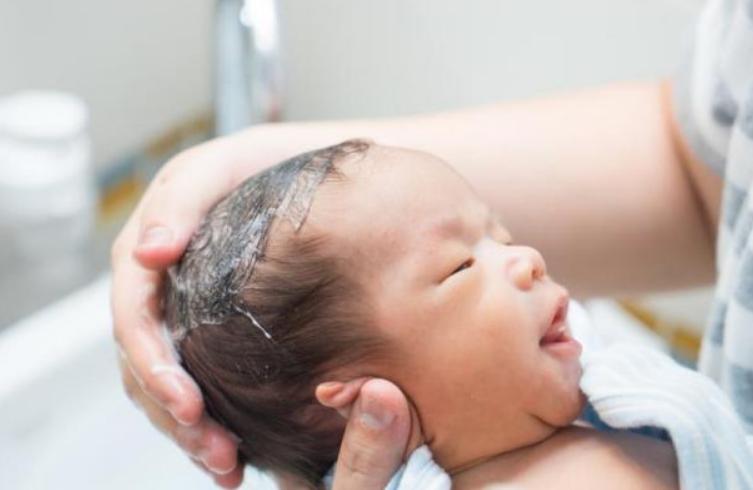 什么时候出生的鼠宝宝命硬,2020年金鼠宝宝农历几月出生最好