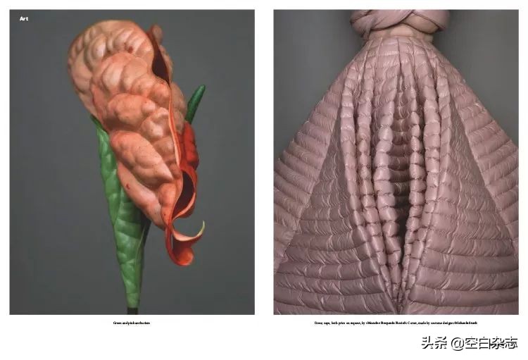 关于女性的时尚杂志,2019年十月时尚杂志