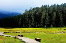 想带你去欣赏秋季的童话——甘海子