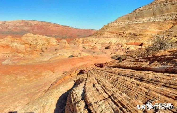 荒野乱斗流彩伊芙强度,荒野行动榴弹怎么用