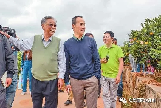 褚时健的人生总有起落,褚时健人生终有起落