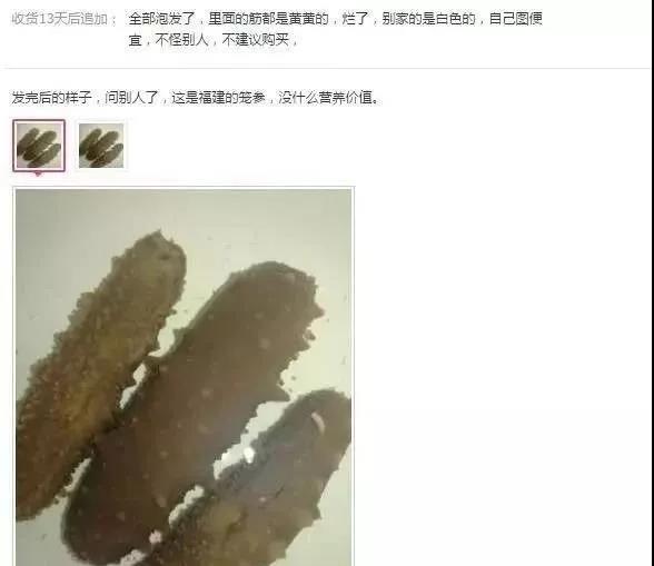 在网上卖的海参怎么那么便宜,目前网上海参便宜得很为什么