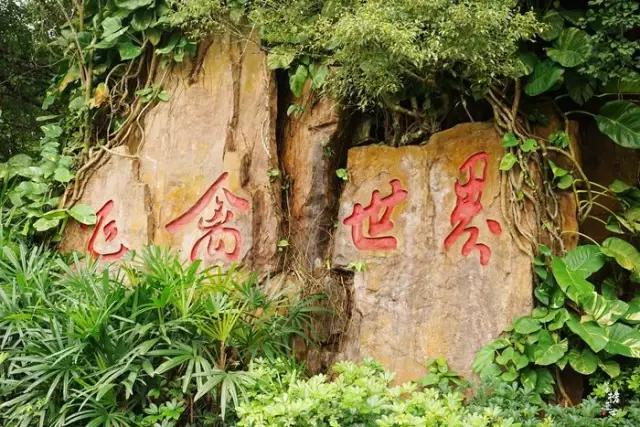 海南海里的特产动物,海南特有的珍稀动物