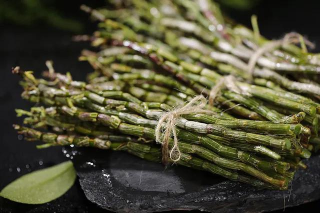 甘草学园｜燥湿同病的用药三法和临证举隅