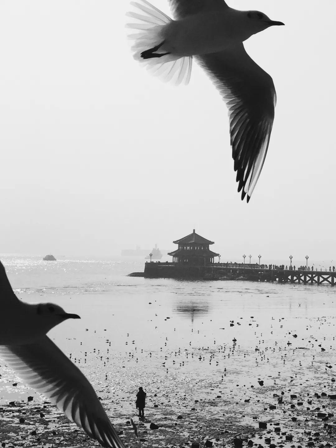 iPhone相机操作技巧,iphone相机操作指南3.0