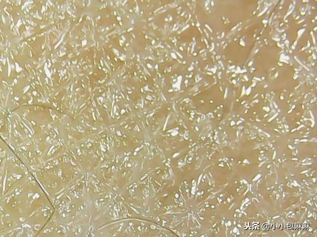 安全平价的国货宝宝霜,网红宝宝霜哪个牌子好用