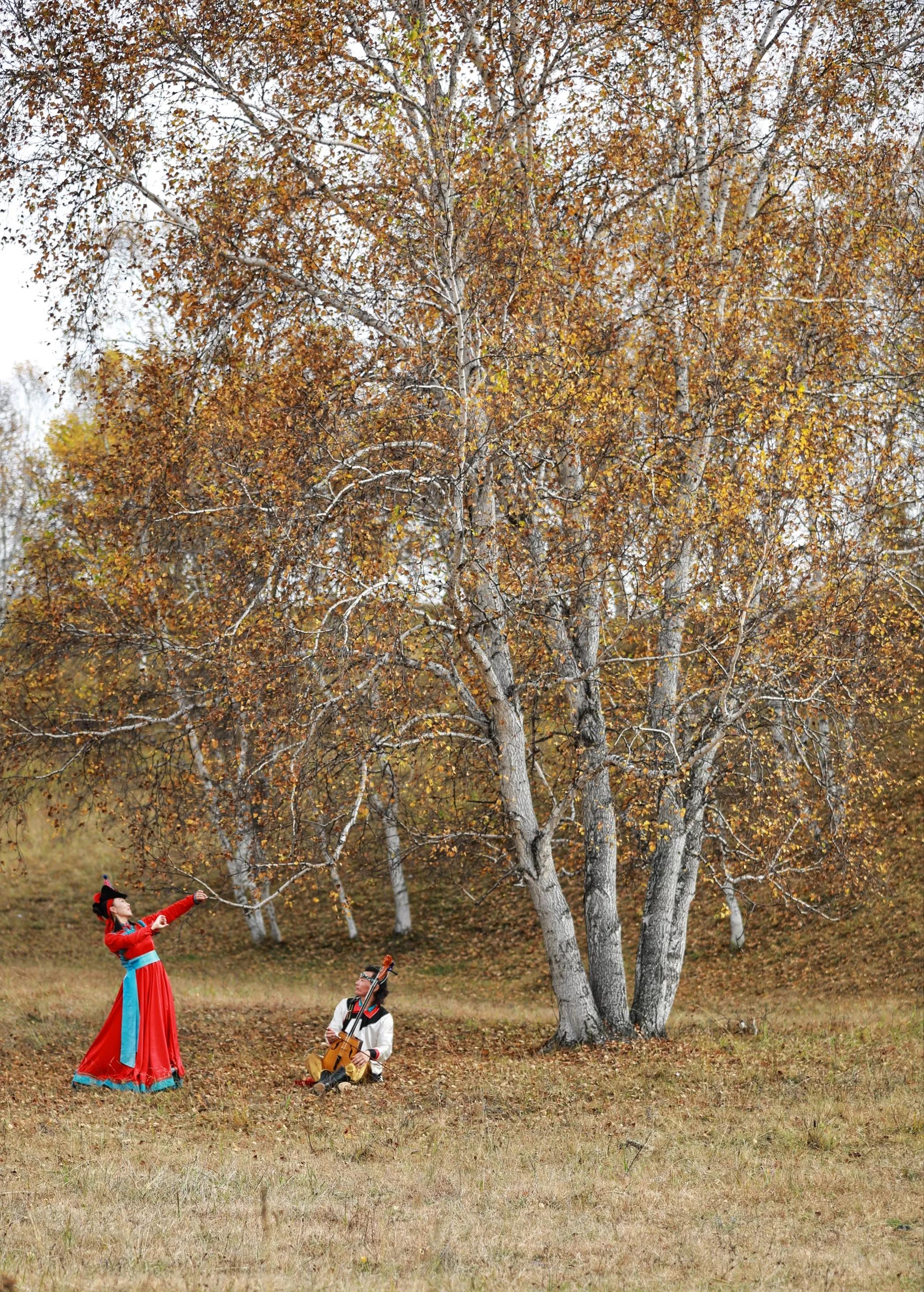 坝上秋色草原,坝上草原游记作文