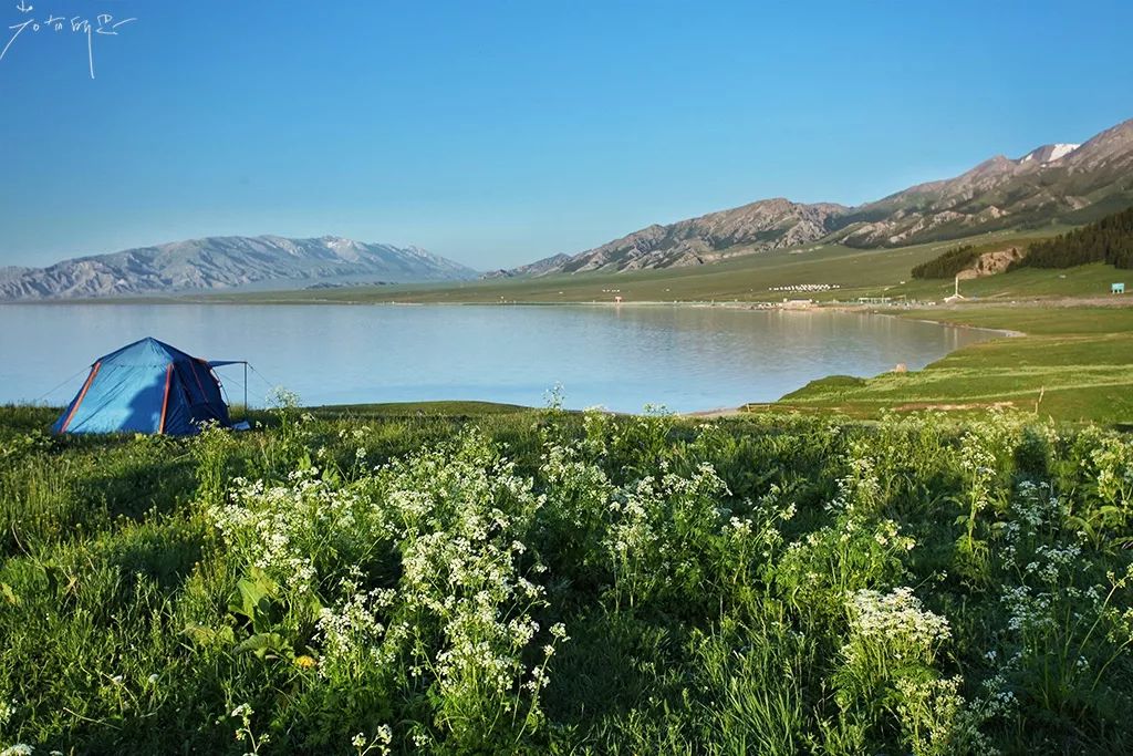 去过18次*疆新**的江南女子，用亲身经历告诉你，*疆新**究竟有多美