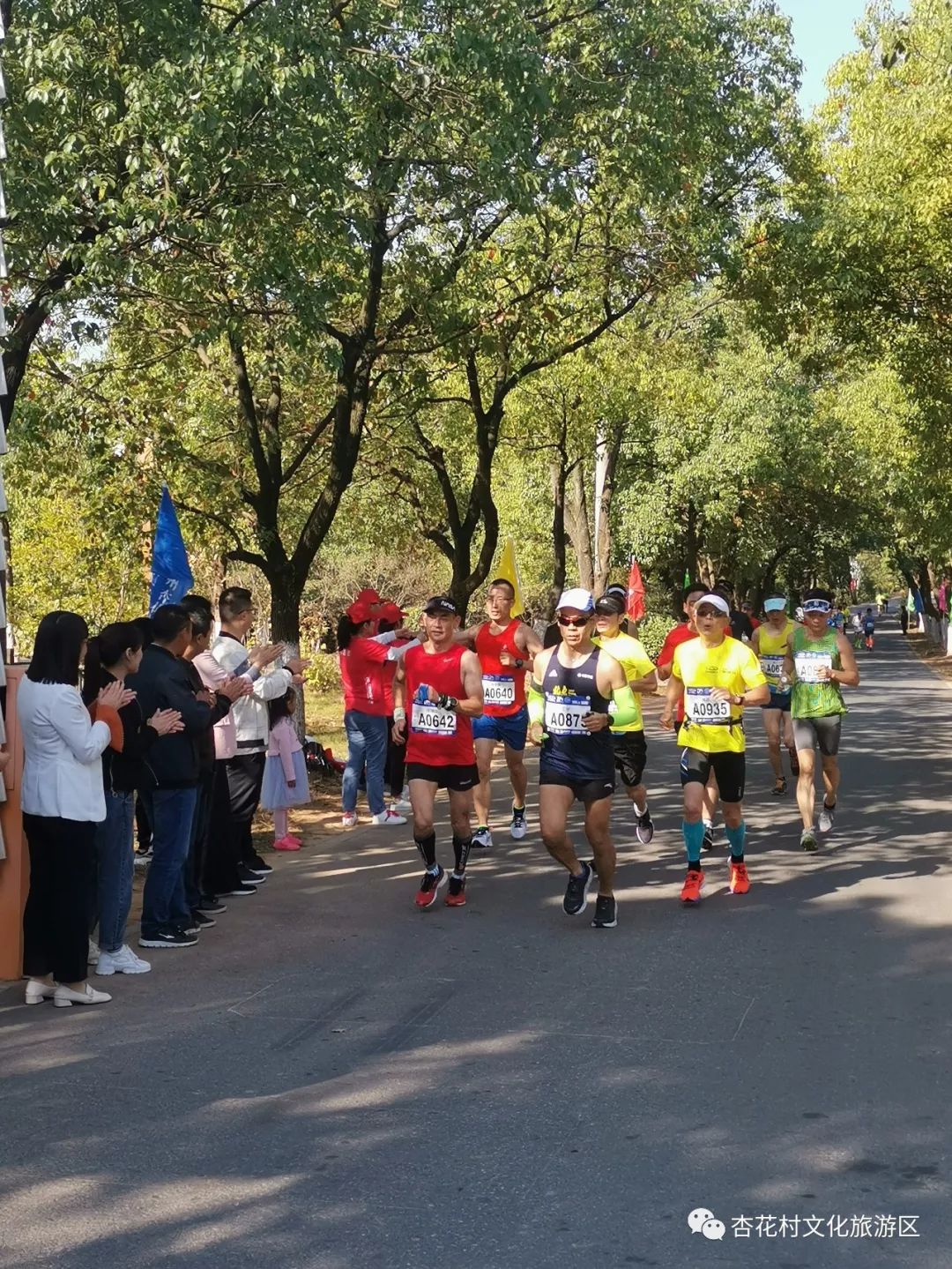 诗意池马赛醉美杏花村