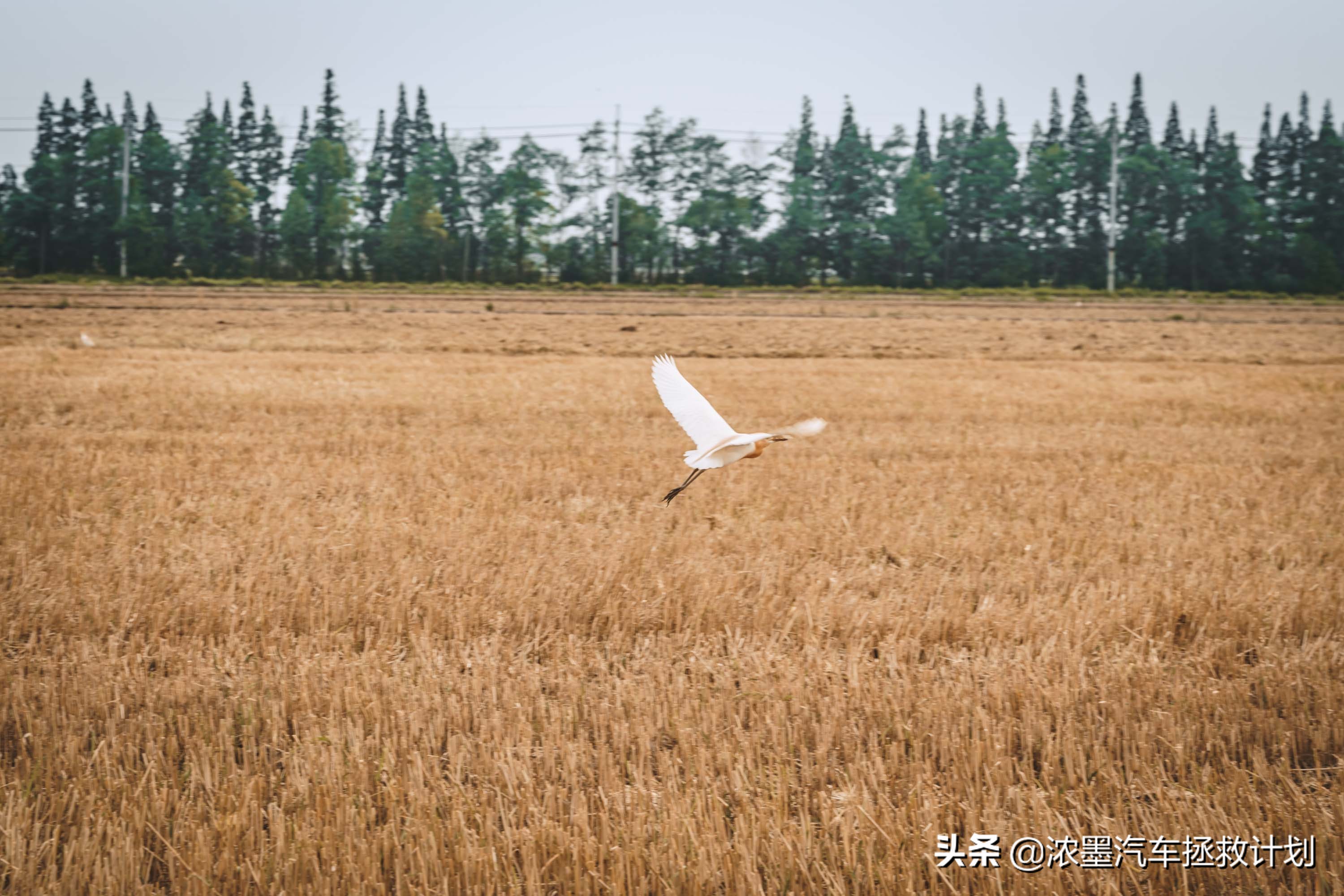 「妙手生花」重建一台战损级桑塔纳，带给它历经千般后的华丽重生
