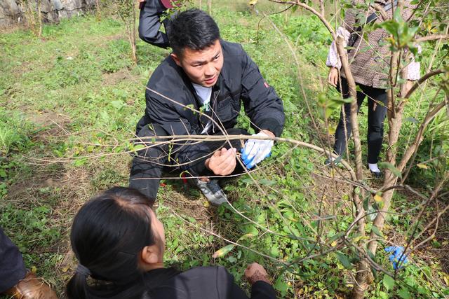 贵州省福润集团有限公司,贵州福润农资