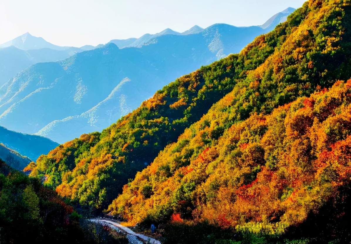 大连60条精品旅游线路,大连旅游一日游线路推荐