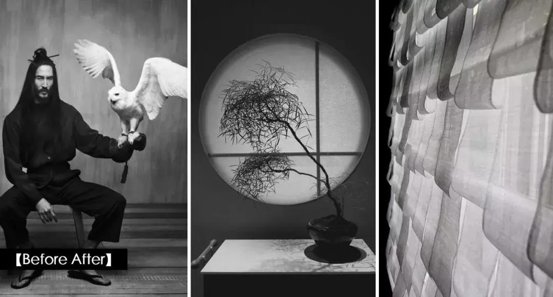 成都大树装饰简介,成都大树装饰装修套餐