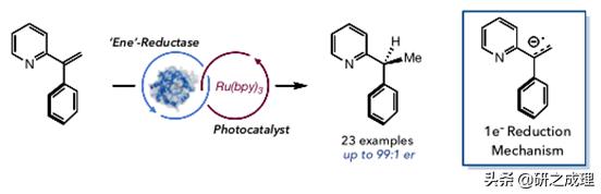 催化周报:10篇子刊,14篇Angew,你想要的前沿都在这里