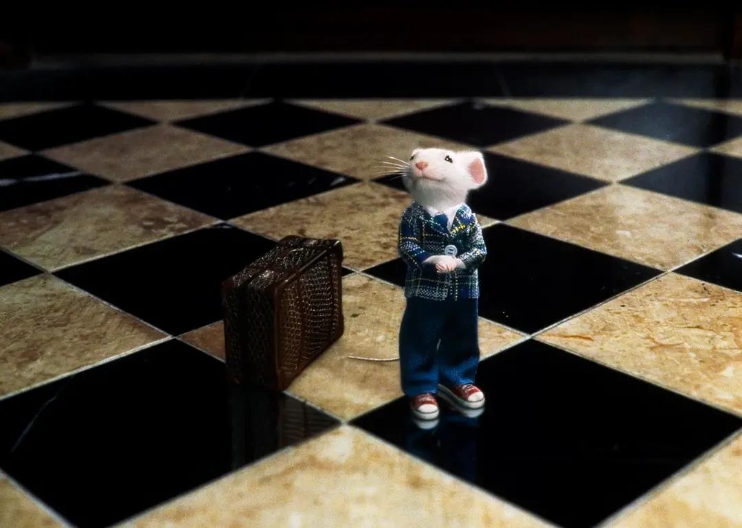 每个善良的人都值得被人温柔以待,每个善良的人都值得被温柔以待