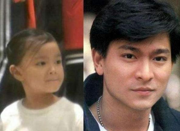 刘德华为什么那么受人推崇,刘德华业内评价