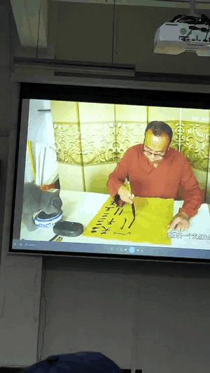 英国短蓝猫好养吗,千万别养蓝猫