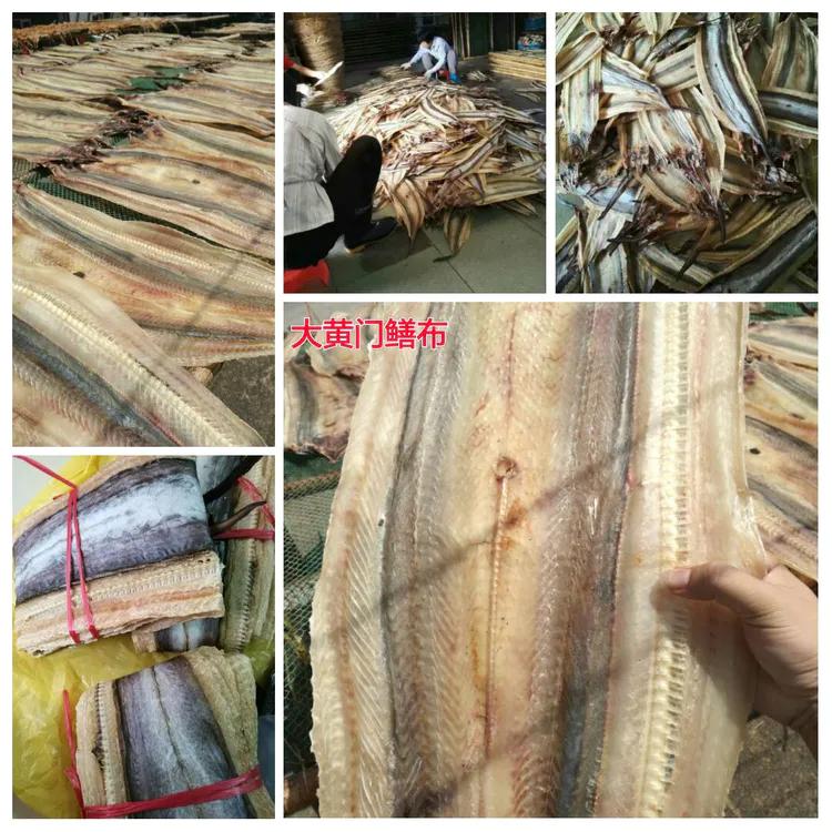 海陵岛闸坡渔港,海陵岛闸坡世界级渔港码头