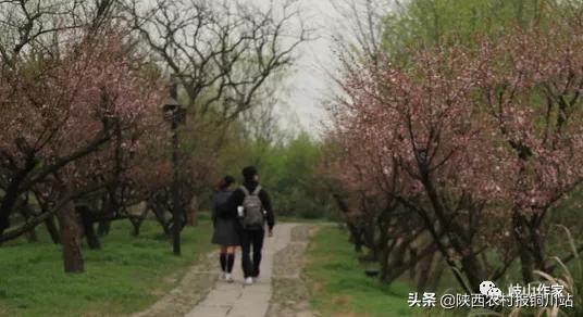 朱百强个人资料,朱百强