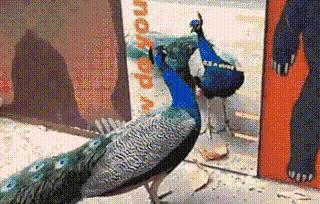 我在学校超市买了一包南京煊赫门收了我19块，我该怎么举报