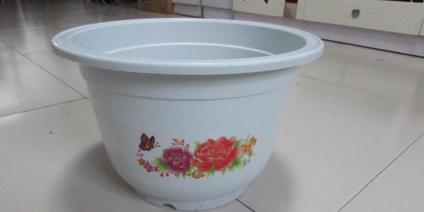 养花怎么选盆,新手养花推荐什么盆