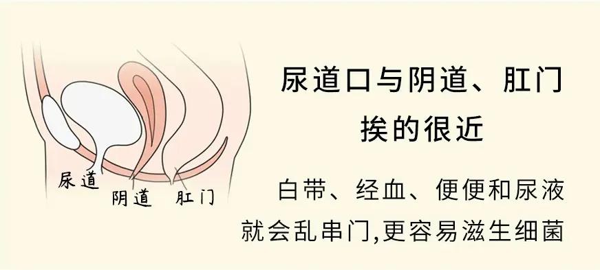 没夫妻生活，怎么就得了妇科病了？