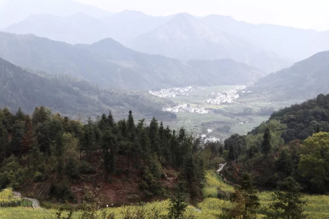 婺源清华朴园,婺源旅游攻略2日游民宿