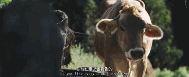 豆瓣9.3分这对夫妻打造1200亩生态农场，“堪称美版「李子柒」”