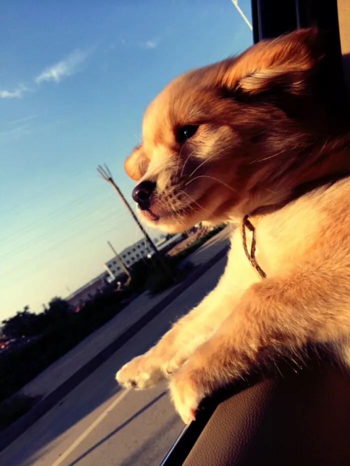 金牛座男生性格全面解析,金牛座性格超准分析十大特点