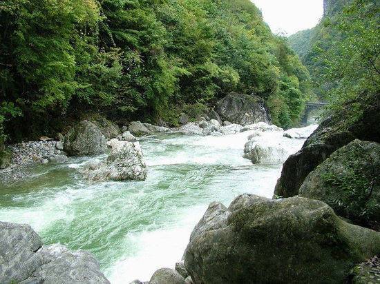 全国十大森林公园,中国十大森林公园