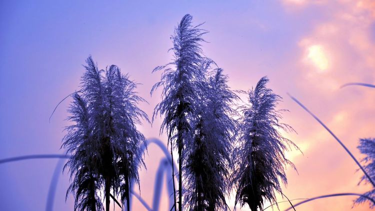 深秋的私语,美文美图经典欣赏