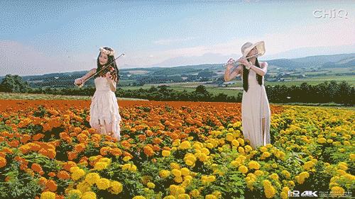 宅的影音试听首选海美迪Q2Plus电视盒子