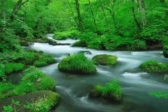 美了美了歌舞,美了美了美原版视频