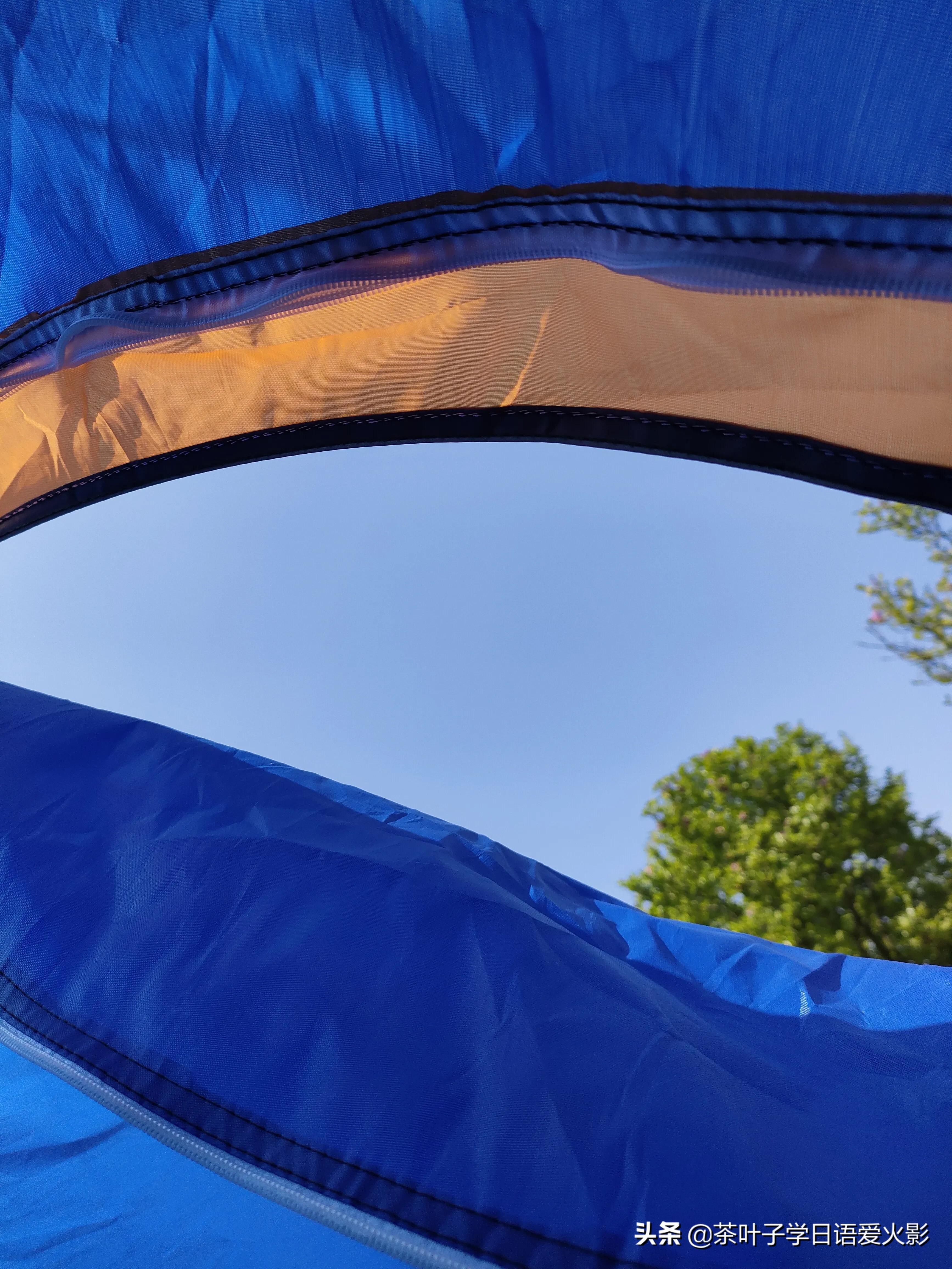 春天踏青适合去哪里玩,春天去上海辰山植物园攻略